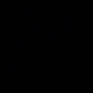 Meet your Posher, Brendan